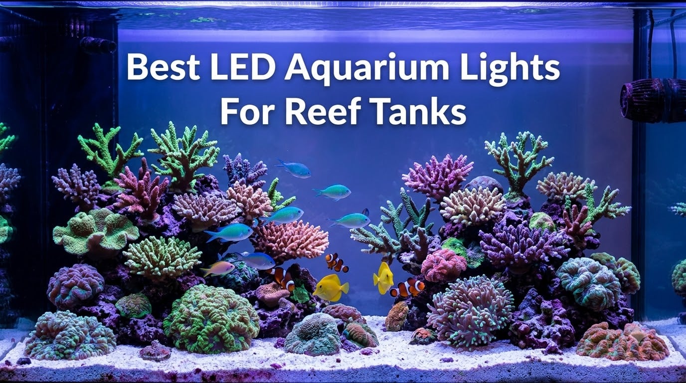 Best LED Aquarium Lights For Reef Tanks